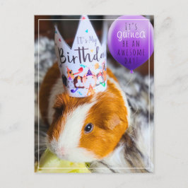 Guinea Pig Geburtstag Postkarte