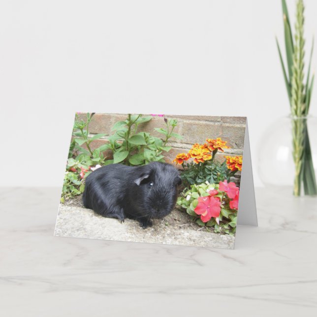 Guinea Pig Geburtstagskarte Karte (Vorderseite)