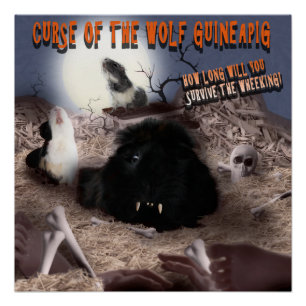 Guinea Pig Halloween Poster