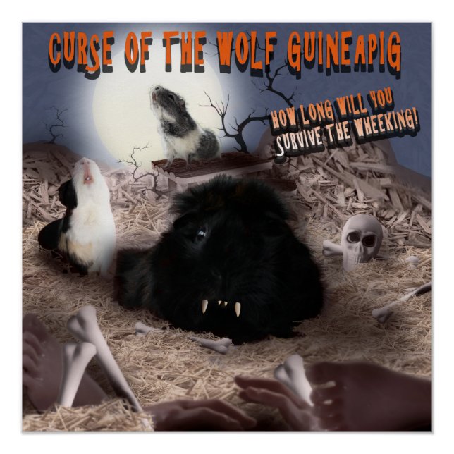 Guinea Pig Halloween Poster (Vorderseite)