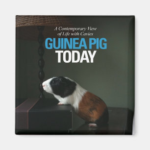 Guinea Pig Heute Foto Magnet