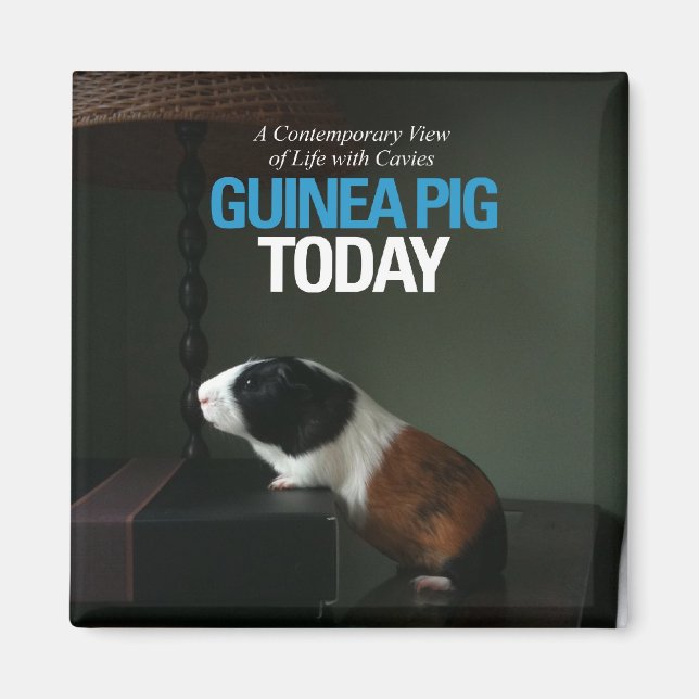 Guinea Pig Heute Foto Magnet (Vorne)