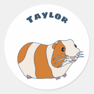 Guinea Pig Illustration Personalisiert Runder Aufkleber