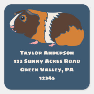 Guinea Pig Illustration Rücksendeadresse Etikett Quadratischer Aufkleber