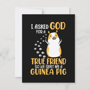 Guinea Pig ist ein echter Freund Dankeskarte
