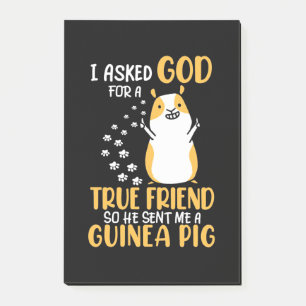 Guinea Pig ist ein echter Freund Post-it Klebezettel