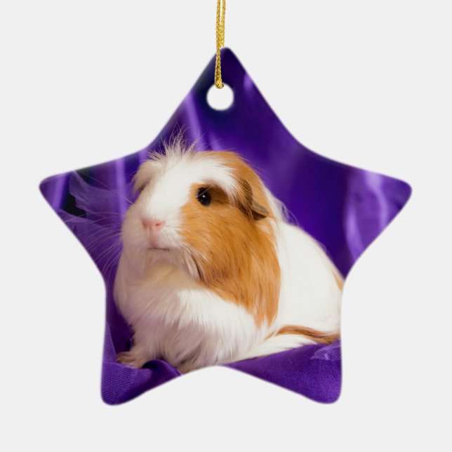 guinea pig keramikornament (Vorne)