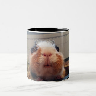 Guinea pig kiss mug zweifarbige tasse