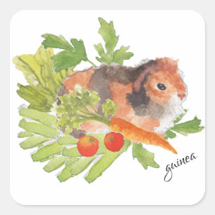 Guinea Pig Leek Carrot Salat Aquarellaufkleber Quadratischer Aufkleber