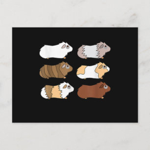 Guinea Pig Liebe Guinea Pig Wheek Wheek Füttre Postkarte
