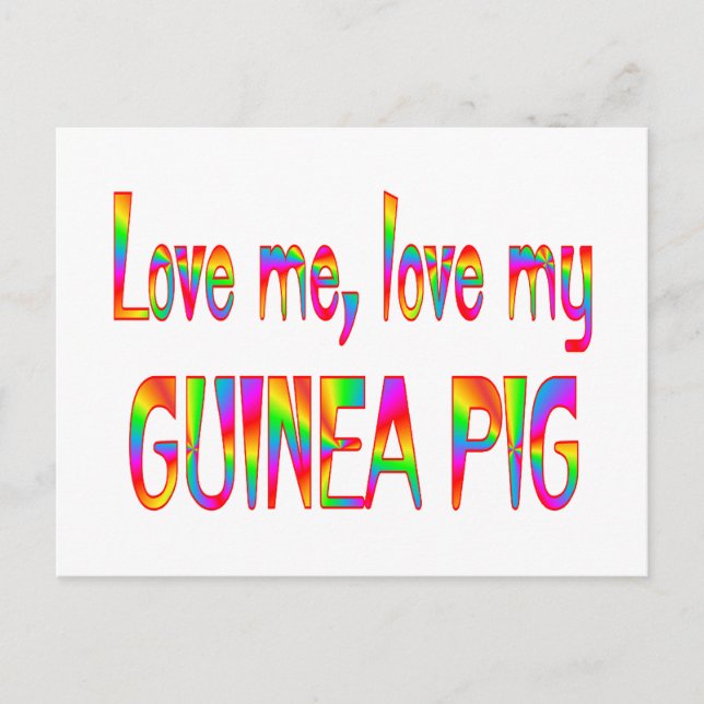 Guinea Pig Liebe Postkarte (Vorderseite)