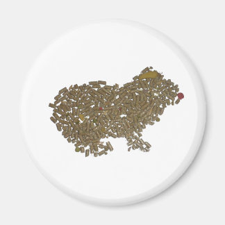 Guinea Pig Magnet