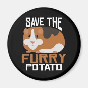 Guinea Pig Magnet