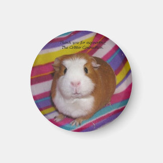 Guinea Pig Magnet #3