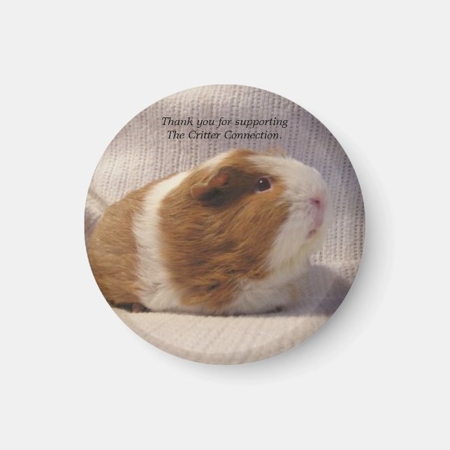 Guinea Pig Magnet #5 (Vorne)