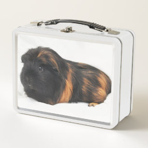 Guinea Pig Metall Brotdose