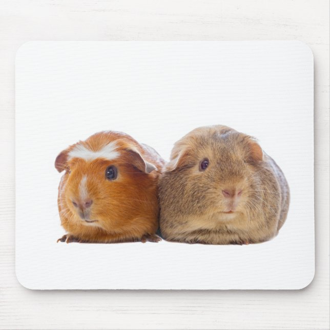 Guinea Pig Mousepad (Vorne)