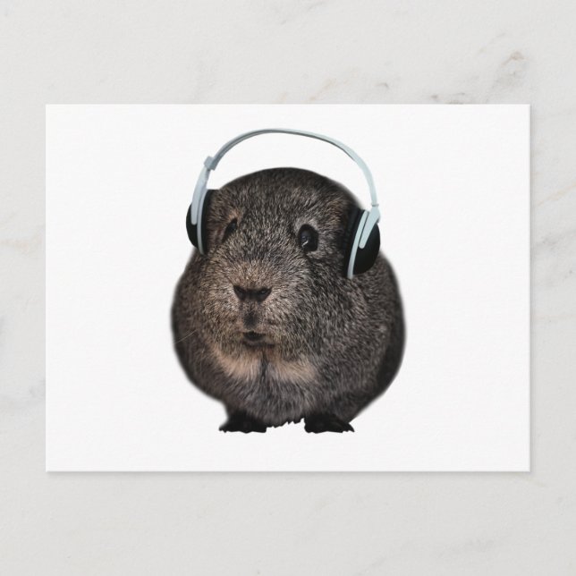 Guinea Pig Music Pet Postkarte (Vorderseite)