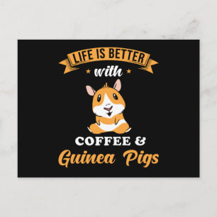 Guinea Pig Niedlich Postkarte
