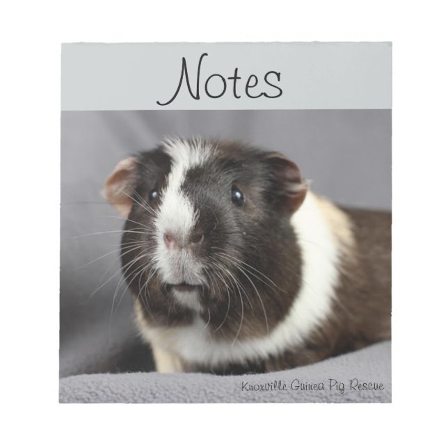 Guinea Pig Notepad Notizblock (Vorderseite)
