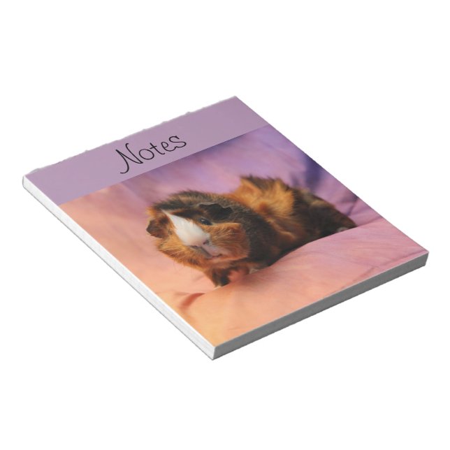 Guinea Pig Notepad Notizblock (angewinkelt)