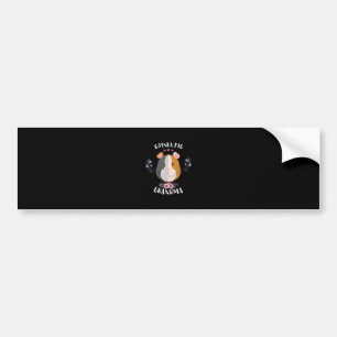 Guinea Pig Oma Mors Day and Christmas Geschenk Autoaufkleber