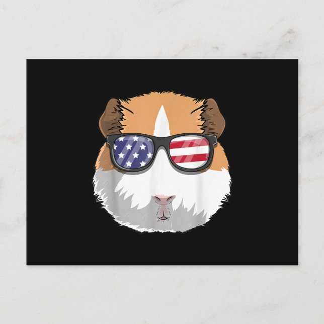 Guinea Pig Patriotic USA 4. Juli Amerikanische Nie Postkarte (Vorderseite)