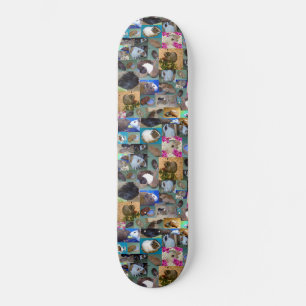 Guinea Pig Photo Collage, Skateboard
