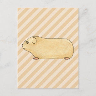 Guinea Pig. Postkarte