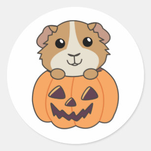 Guinea Pig Pumpkin Sweet Animals Happy Halloween C Runder Aufkleber