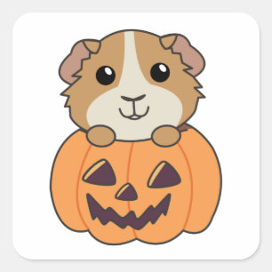 Guinea Pig Pumpkin Sweet Animals Happy Halloween S Quadratischer Aufkleber