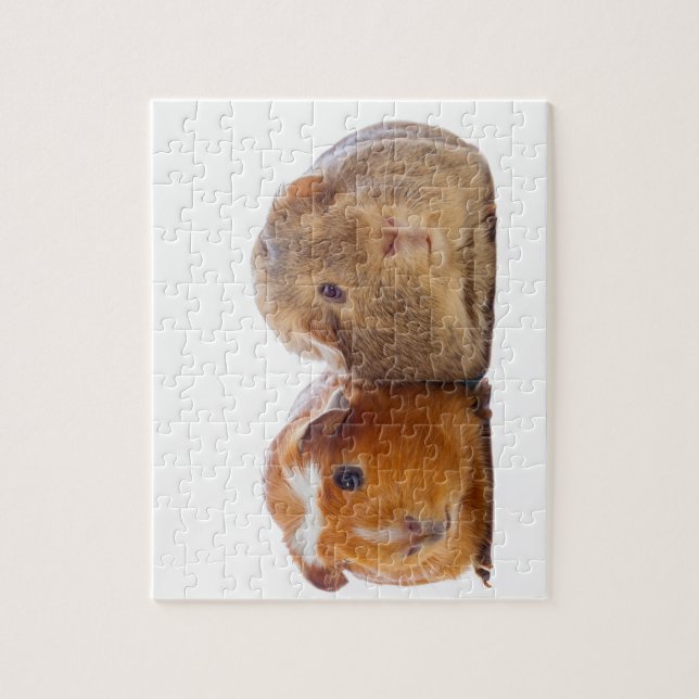 Guinea Pig Puzzle (Vertikal)