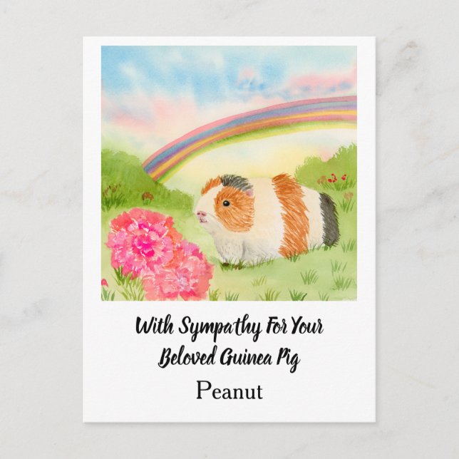 Guinea Pig Rainbow Sympathy with Carnations Name Postkarte (Vorderseite)