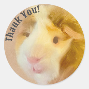 Guinea Pig Runder Aufkleber