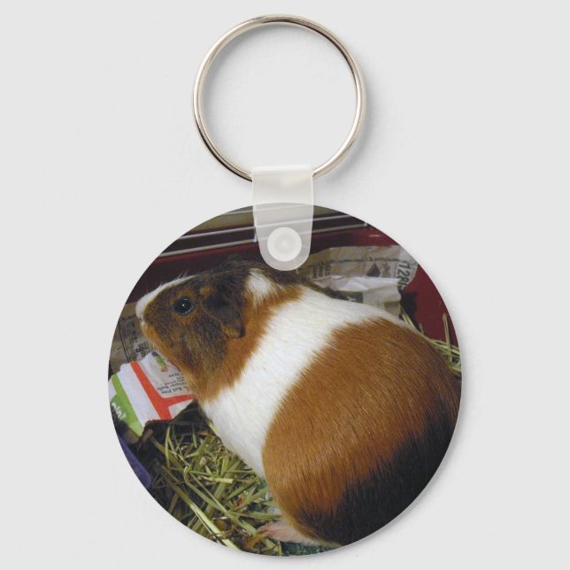 Guinea Pig Schlüsselanhänger (Vorderseite)