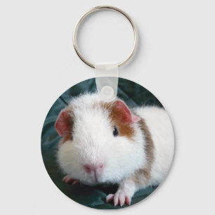 Guinea Pig Schlüsselanhänger