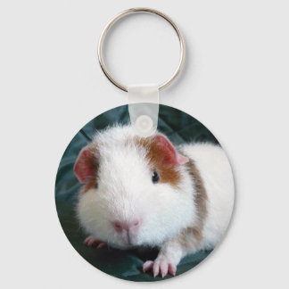 Guinea Pig Schlüsselanhänger