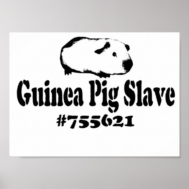 Guinea Pig Slave Poster (Vorne)
