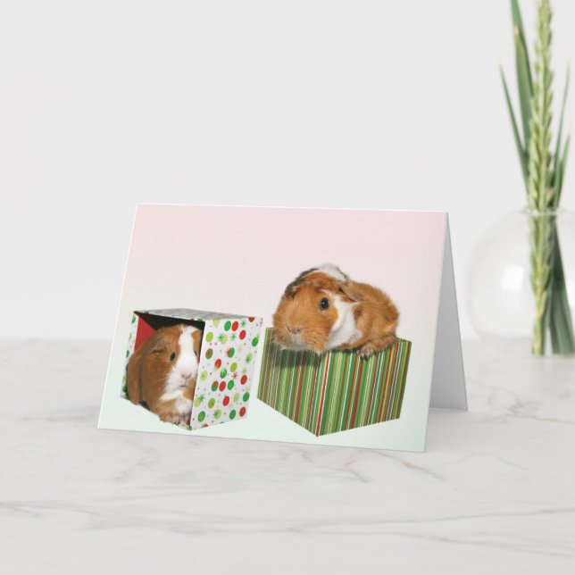 Guinea Pig Weihnachten (Vorderseite)