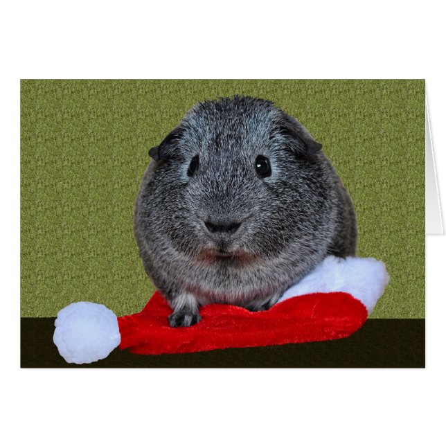 Guinea Pig Weihnachten (Vorderseite (Horizontal))
