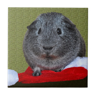 Guinea Pig Weihnachten Fliese
