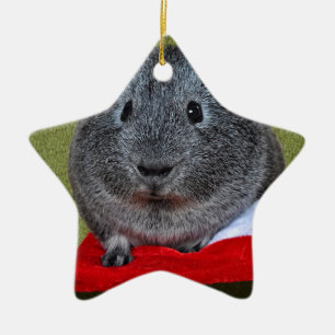Guinea Pig Weihnachten Keramik Ornament