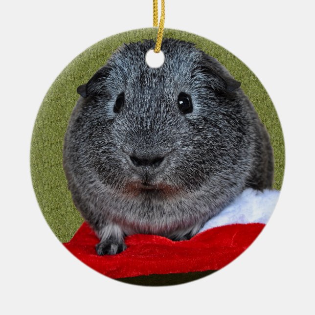 Guinea Pig Weihnachten Keramikornament (Vorne)