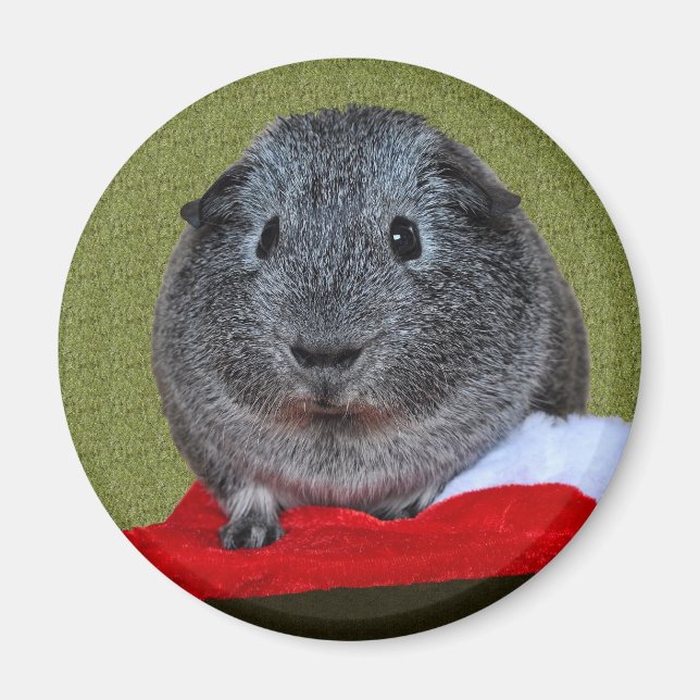 Guinea Pig Weihnachten Magnet (Vorne)