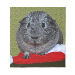 Guinea Pig Weihnachten Notizblock