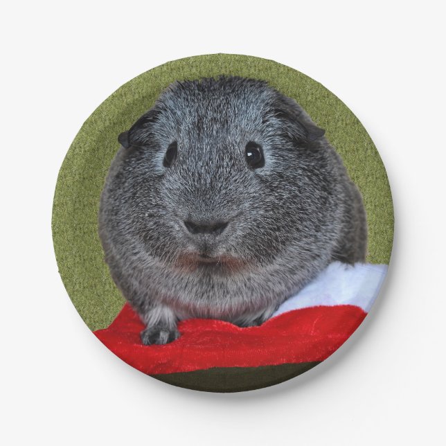Guinea Pig Weihnachten Pappteller (Vorderseite)