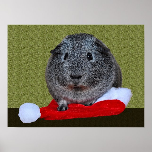 Guinea Pig Weihnachten Poster (Vorne)