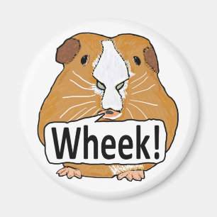 Guinea Pig Wheek Magnet