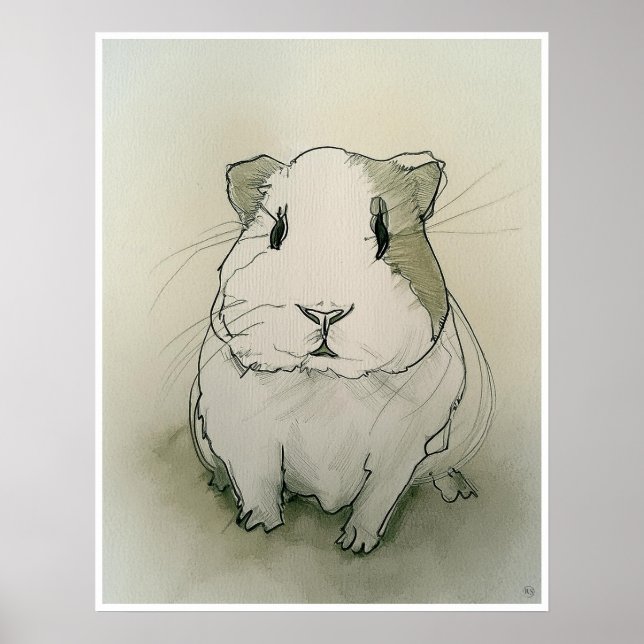 Guinea Pig Zeichnend - Kunstdruck Poster (Vorne)