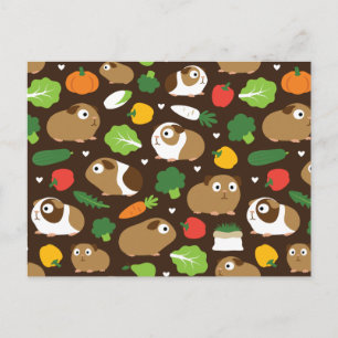 Guinea Pigs And Their Treats Postkarte